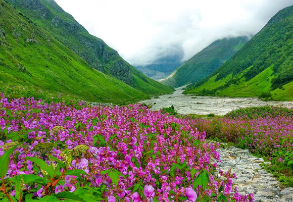 Valley of flowers from